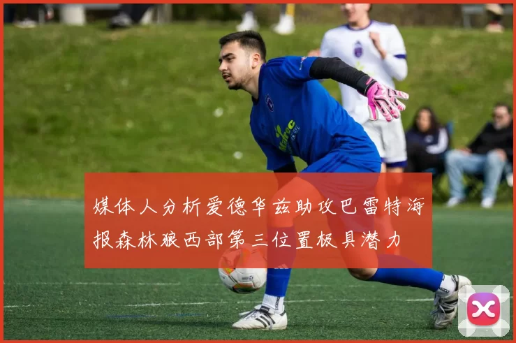 媒体人分析爱德华兹助攻巴雷特海报森林狼西部第三位置极具潜力